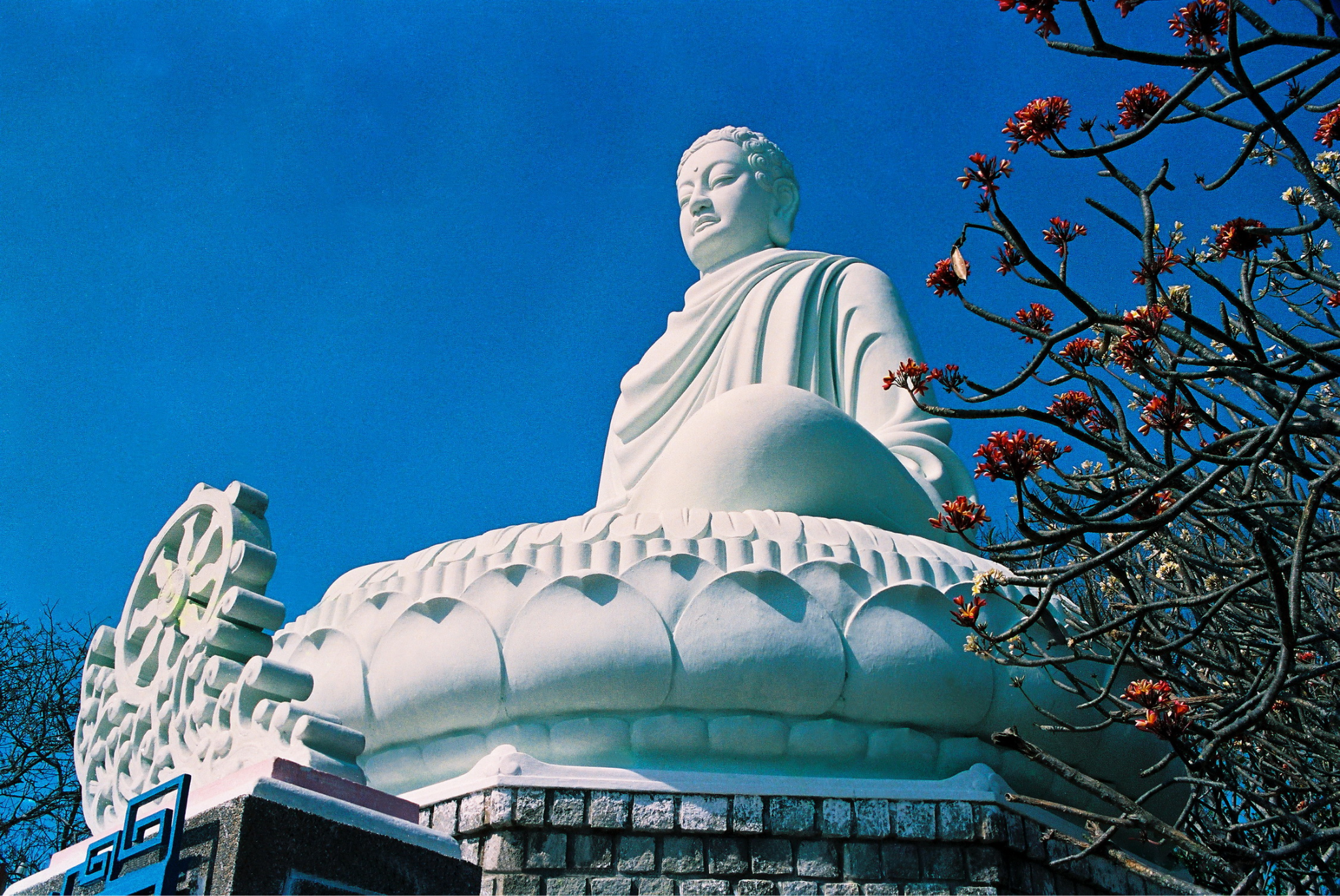 The lotus is deeply embedded in Buddhist traditions as a symbol of enlightenment and spiritual growth